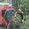 Firewood For Sale, Tree Removal, Tree Services New Jersey- American Tree Service - brush_chipping