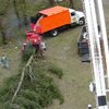 Lot Clearing - American Tree Service - lot_clearing