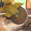 Stump Grinding, Stump Grinder New Jersey, Tree Stump Grinding - American Tree Service - stump_grinding