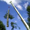 Tree Removal New Jersey, NJ Tree Removal Services New Jersey - American Tree Service - tree_removal