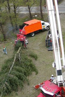 Lot Clearing - American Tree Service - lotclearing