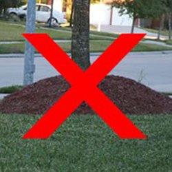 No Volcano Mulching - Tree Tip Center - American Tree Service - mulching