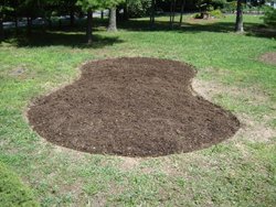 Stump Grinding, Stump Grinder New Jersey, Tree Stump Grinding - American Tree Service - stump8