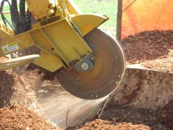 Stump Grinding, Stump Grinder New Jersey, Tree Stump Grinding - American Tree Service - stumpgrinder